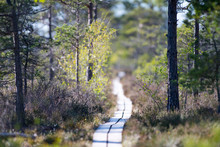Compressed Photograph Of Marsh And Bog National Park Hiking Trail In Swedish Lowlands - Store Mosse National Park Smaland Sweden.