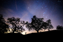A Man Stands Under Beautiful Oak Trees At Night With Outstretched Arms With The Night Sky, Milky Way And Orion Constellation Overhead In Alexander Valley, California.