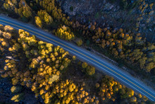 An Aerial View Of A Mountain Road Cutting Through Beautiful Aspen Tree Groves In Full Autumn Color In Hope Valley, California.