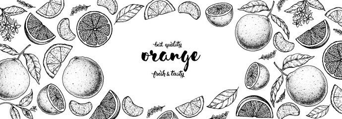 Wall Mural - Orange hand drawn vector illustration. Orange sketch for design. Black and white style. Citrus orange pattern illustration. Orange packaging design.