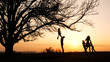 © alex_marina - Silhouettes of family spending time together in the meadow near during sunset