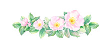 Watercolor Drawing Of Rose Hip Flowers And Leaves Border Isolated On White Background. Hand Painted Illustration Of Pink Brier Flowers With Green Leaves. Spring Blossom Botanical Illustration.