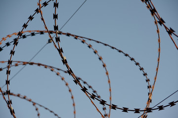 barbed wire