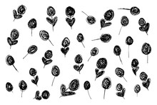 Flowers Set, Black Summer Doodle Clip Art On White Background
