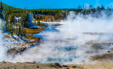 Wall Mural - GREEN DRAGON SPRING, NORRIS GEYSER BASIN, Yellowstone National Park