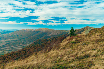 Poster - Eastern European Carpathian mountains ridge picturesque season landscape scenic view highland windy environment space with cloudy blue sky background