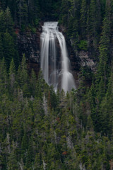 Wall Mural - Virginia Falls and Surrounding Forest