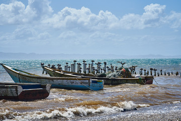 Wall Mural - Boats anchored at the beach. Coche Island, Venezuela