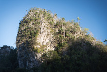 A Cliff Face In The Cuban Jungle. 
