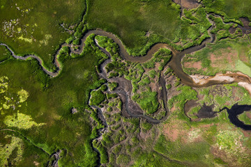 Wall Mural - Aerial photography of Cape Cod`s awesome marshlands and pure wilderness. The picture shows green environment and an infinite diversity of the nature.