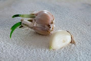 garlic on flour background. stacked focus image.