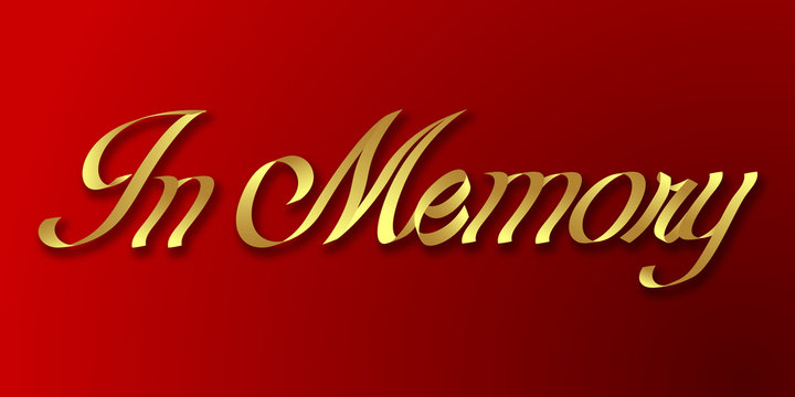 in memory hand drawn lettering phrase illustration