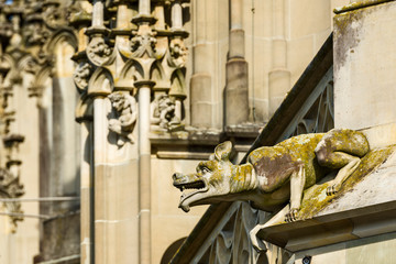 Wall Mural - gargoyle of the cathedral of Bern Switzerland