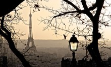 BARE TREES WITH EIFFEL TOWER IN BACKGROUND