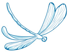 Illustration In Vectors Of A Dragonfly