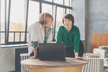 Female team. Two mature women working laptop indoors