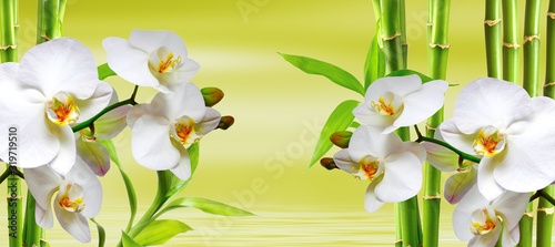 spa background with ochideen and bamboo in green © Karneg