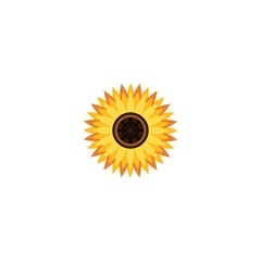 Wall Mural - Vector illustration icon of beautiful sunflower with white background