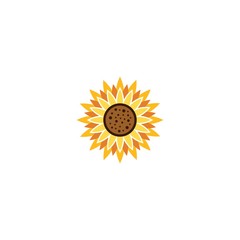 Wall Mural - Vector illustration icon of beautiful sunflower with white background