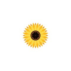 Wall Mural - Vector illustration icon of beautiful sunflower with white background