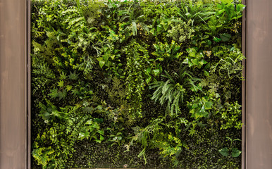 vertical green garden for background