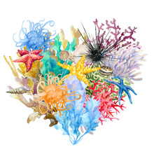 Heart Shaped Of Colorful Corals, Anemones, Starfish, Sea Urchin, Seaweed, Shells, Isolated. Hand Drawn Watercolor.