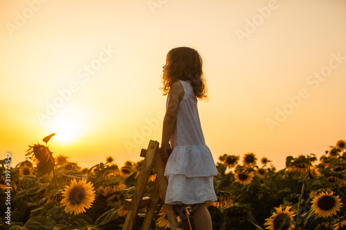 Fotomural Happy child girl on the top of ladder, against sunflowers field