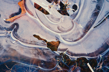 Wall Mural - Ice detail shows abstract texture of frozen environment during winter.
