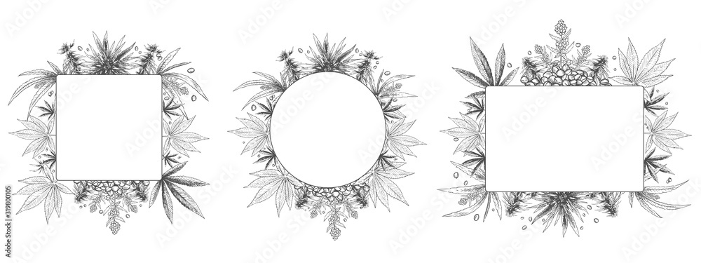 Hemp frame. Hand drawn cannabis plant, sketch hemp leaf and marijuana seeds frames vector set. Bundle of monochrome square, round and rectangular border templates decorated by weed foliage and buds. - obrazy, fototapety, plakaty 