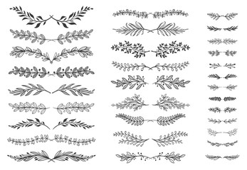 floral ornament dividers. ornamental leafs scroll decoration, decorative branch and hand drawn divid