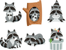 Raccoon Vector Cartoon Set