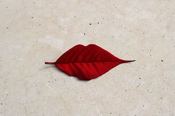 red tree leaf with the shape of the lips of a female mouth painted with carmine lipstick on a flat light background