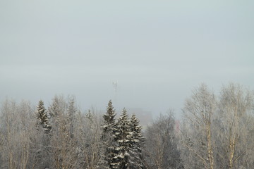 Naklejka na meble Winter snowy forest on gray cloudy sky background