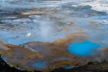 Wall Mural - Porcelain Springs, Norris Geyser Basin, Yellowstone