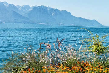 Wall Mural - Plants bloom at the promenade of Geneva Lake in Montreux, Swiss Riviera