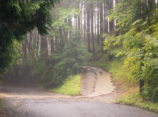 Brown water runoff from forest trail onto mountain road in heavy rain