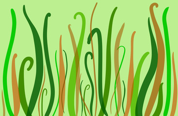 Blades of grass of different color on a light green background. Shades on greens and browns. Vivid bright blades of grass meadow plants. Fresh vegetation isolated