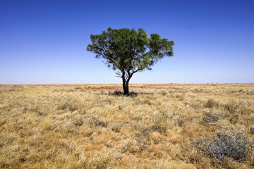 Australian Outback