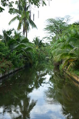 Wall Mural - landscape of public park in the morning with view of water small pond