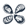 Cooked oysters illustrations. Shellfish and seafood restaurant design element. Hand drawn oyster shells sketch isolated on white background. For menu, recipes, logos, flyer or invitation.