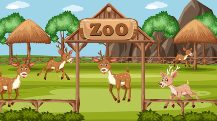 Scene with wild animals in the zoo at day time