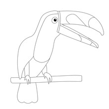 The Outline Of An Exotic Toucan Bird Isolated On A White Background. Vector Hand Drawn Illustration, Cartoon.