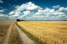 Long Country Road Landscape And Harvests In The Field