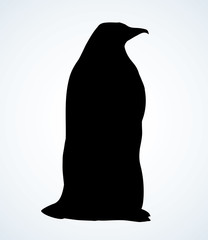 Canvas Print - Penguin on the ice. Vector drawing