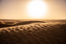 Sand Dunes In The Desert