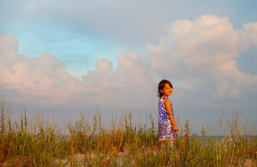 Wall Mural - portrait of a beautiful little girl in nature