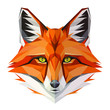 Fox low poly design. Triangle vector illustration