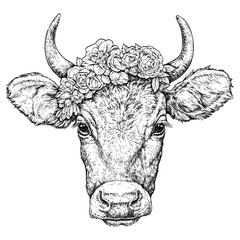 Wall Mural - Hand drawn portrait of cute Cow with a wreath on head. Vector illustration isolated on white