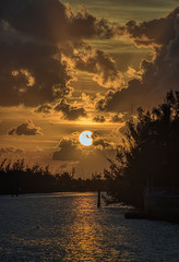 Wall Mural - howling sun