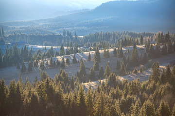  Morning winter landscape